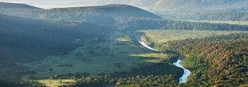 Kariega Game Reserve Settlers Drift Alexandria  Zewnętrze zdjęcie