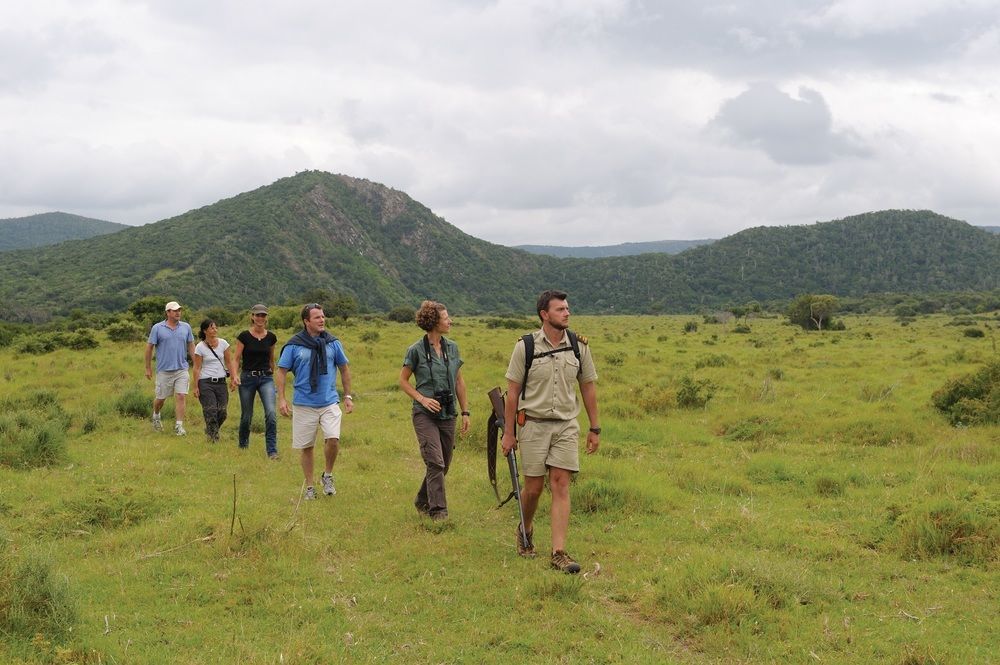 Kariega Game Reserve Settlers Drift Alexandria  Zewnętrze zdjęcie