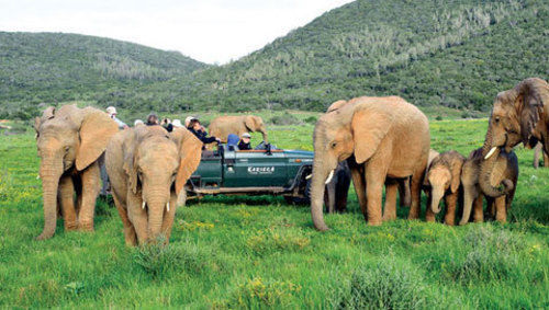 Kariega Game Reserve Settlers Drift Alexandria  Zewnętrze zdjęcie