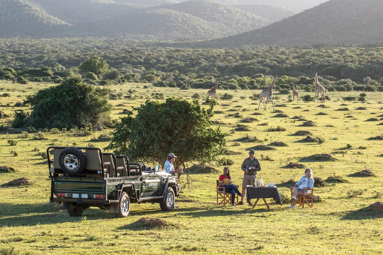Kariega Game Reserve Settlers Drift Alexandria  Zewnętrze zdjęcie